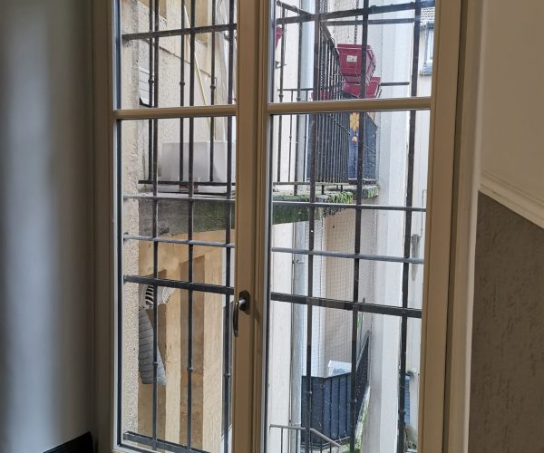 Remplacement fenêtre bois immeuble gare Metz